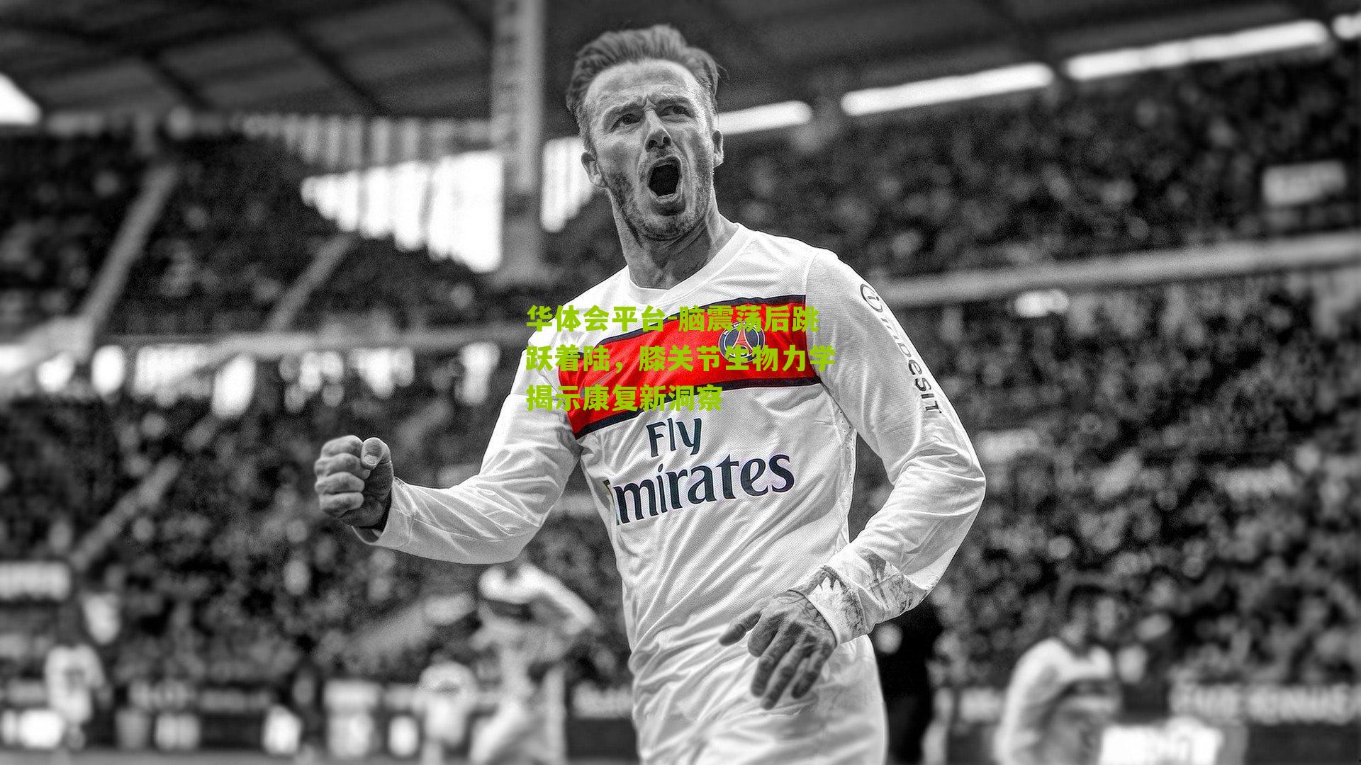 脑震荡后跳跃着陆，膝关节生物力学揭示康复新洞察