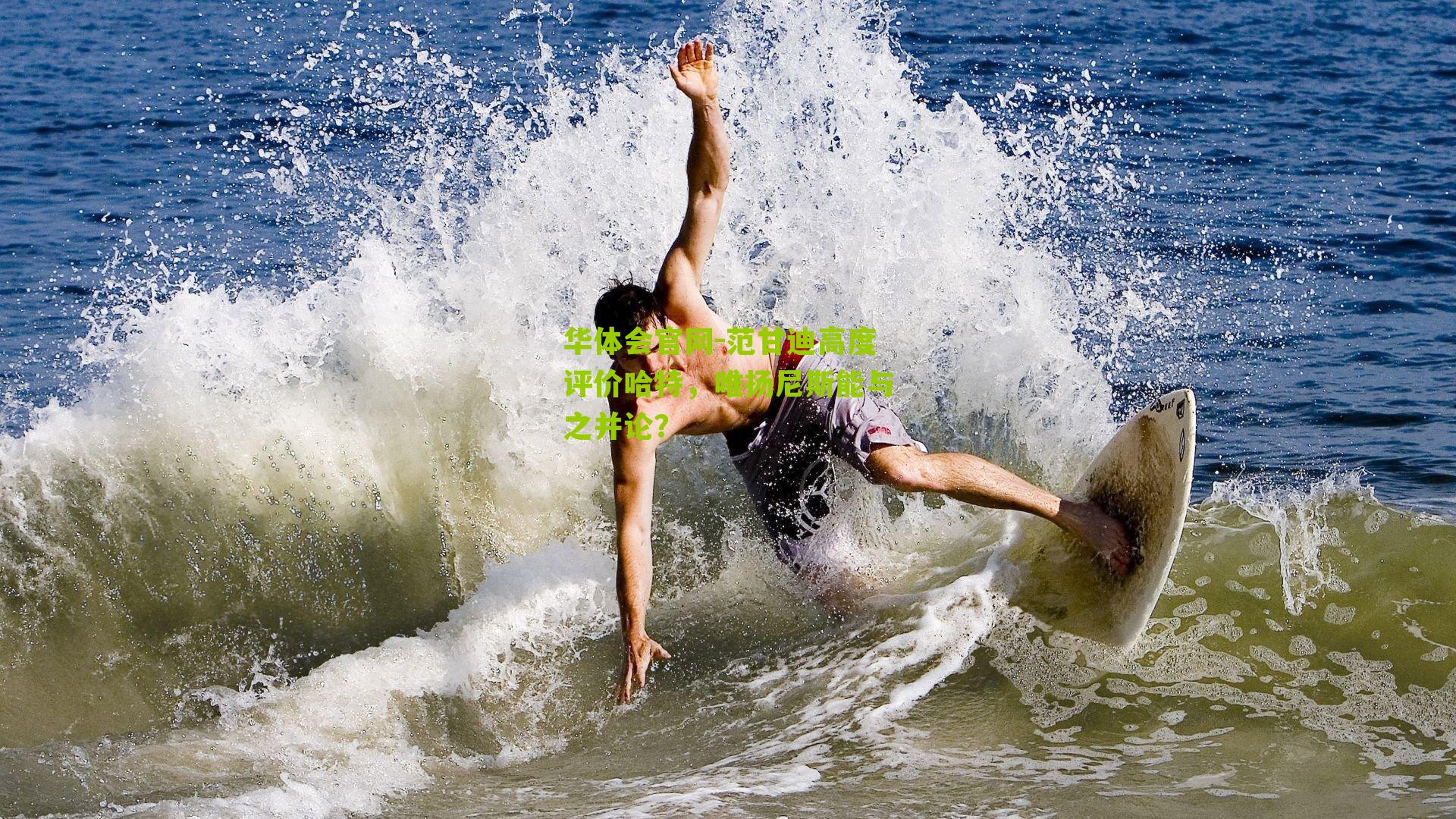 范甘迪高度评价哈特，唯扬尼斯能与之并论？