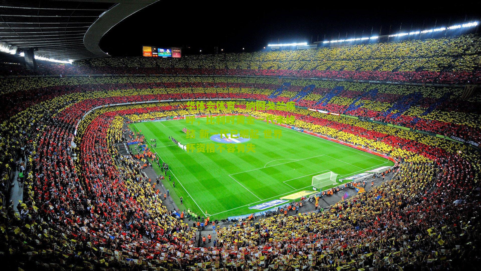 纳因戈兰疾呼,比利时黄金一代未终结 新一代已崛起 世界杯资格不容有失